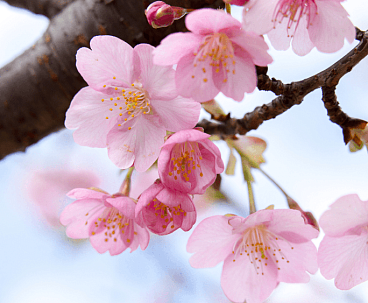 Фото Майские выходные